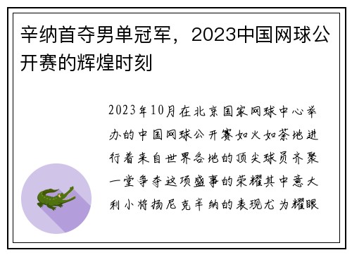 辛纳首夺男单冠军，2023中国网球公开赛的辉煌时刻